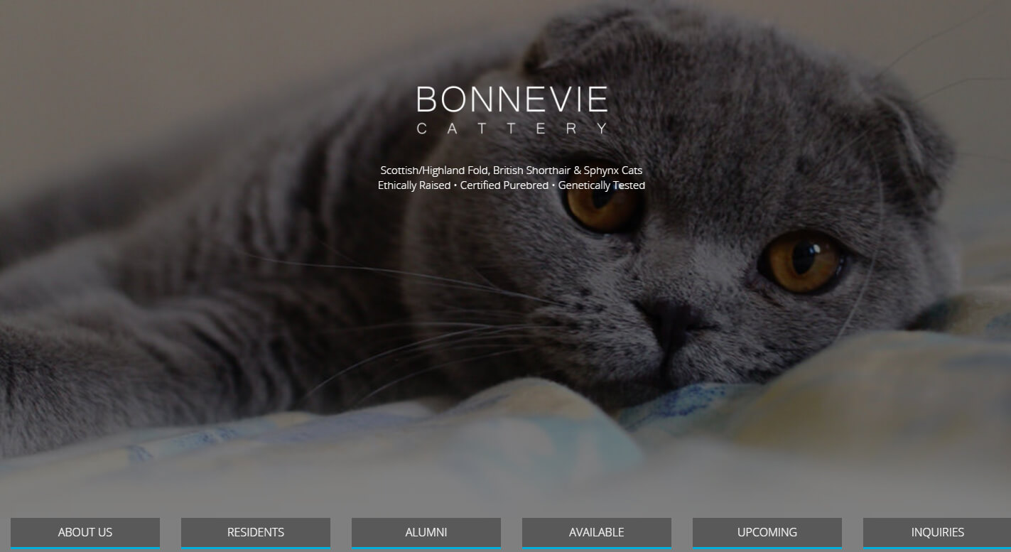 Bonnevie Cattery